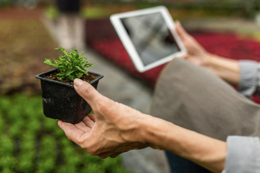 Homesteading and Technology: Bridging the Gap