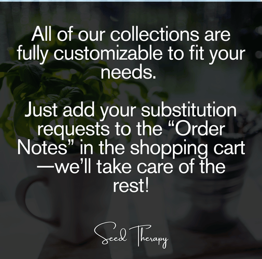 Bee Friendly Collection – 10 Flower Varieties