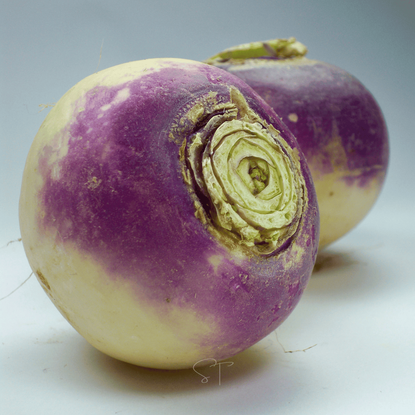 American Purple Top Rutabaga – 200 Seeds