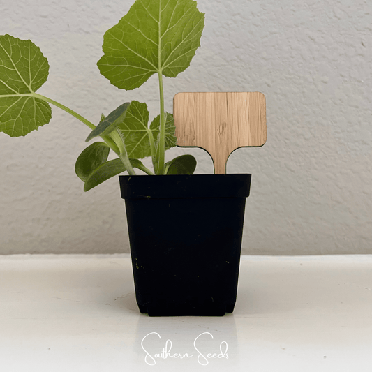 Bamboo Plant Markers – 5 Count