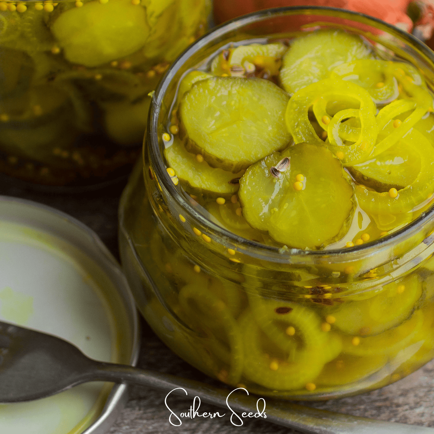 National Pickling Cucumber – 30 Seeds