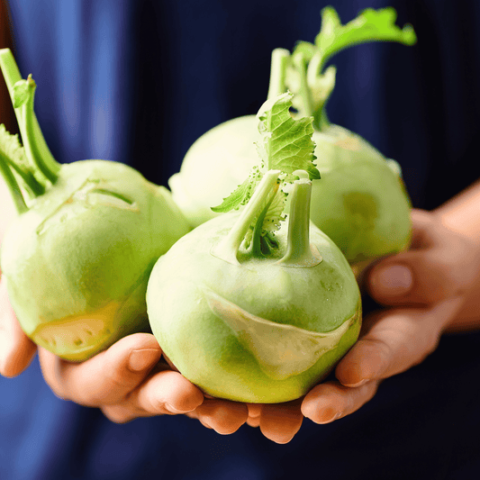 Early White Vienna Kohlrabi – 100 Seeds