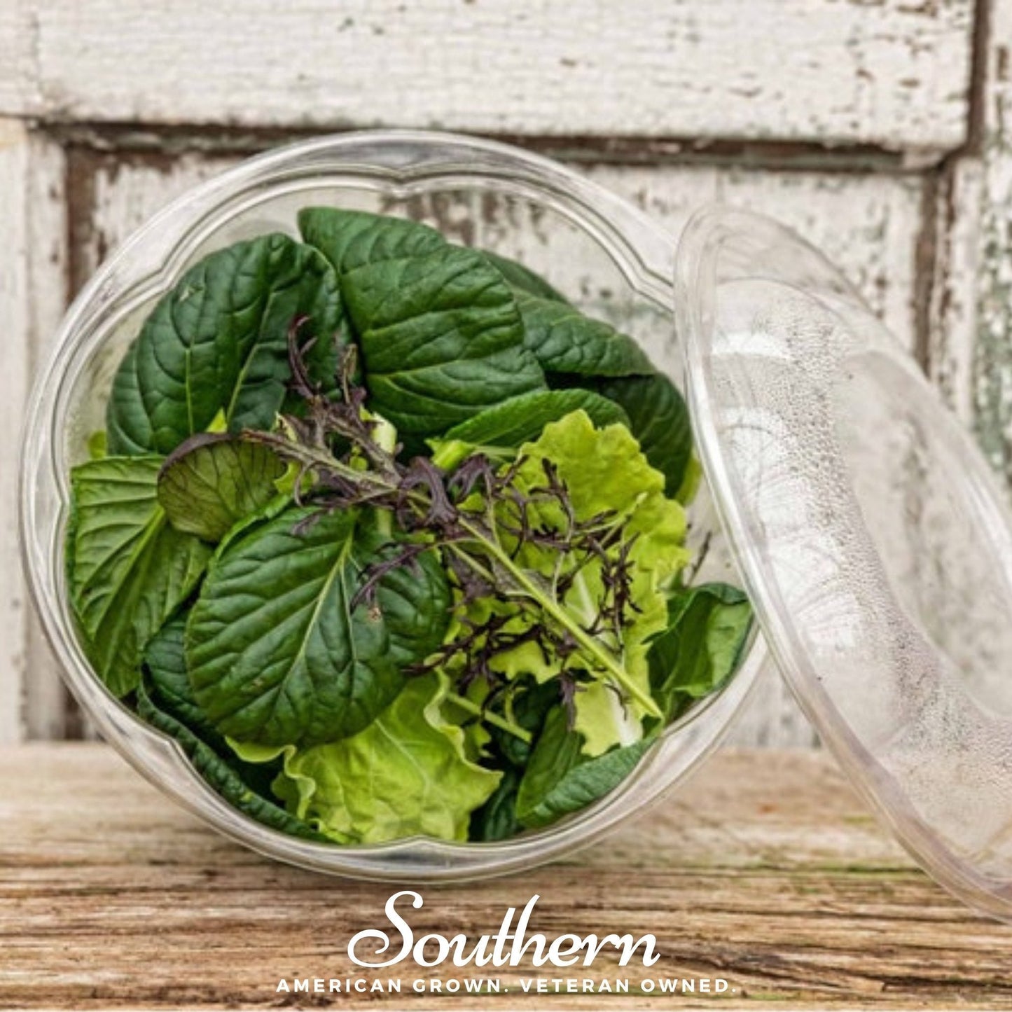 Tatsoi Mustard – 100 Seeds