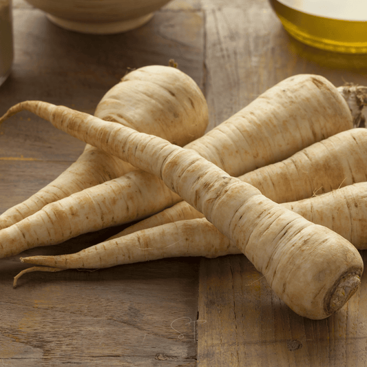 All American Parsnip – 100 Seeds