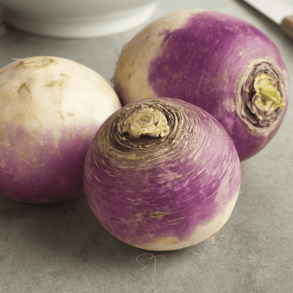 American Purple Top Rutabaga – 200 Seeds