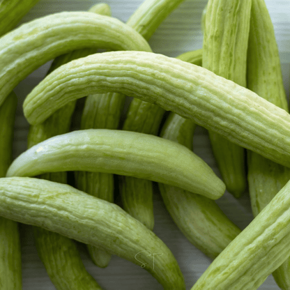 Armenian Yard-Long Cucumber – 30 Seeds