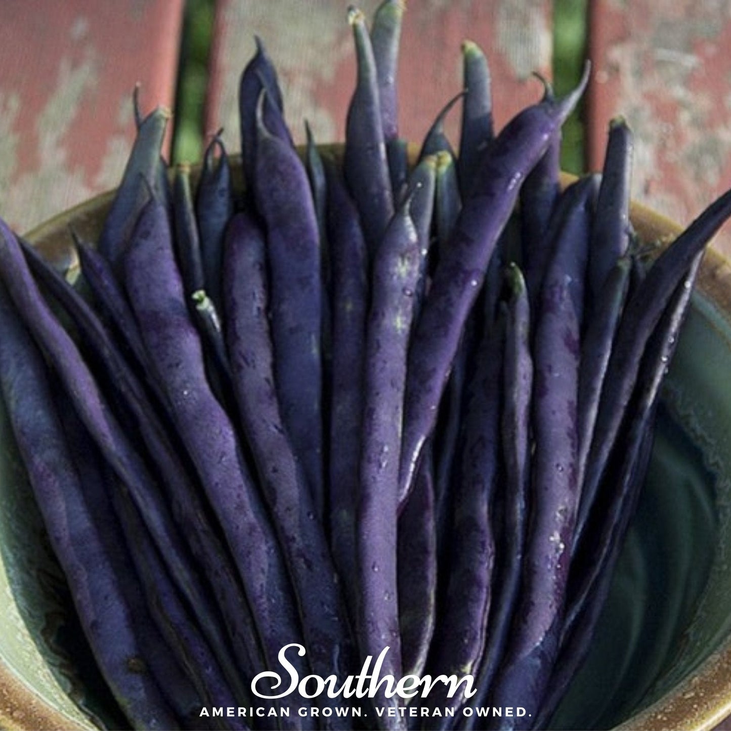 Blue Coco Bean (Pole) – 30 Seeds