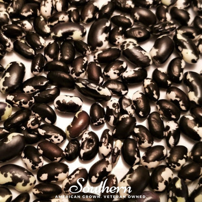 Calypso Orca Bean (Bush) – 25 Seeds