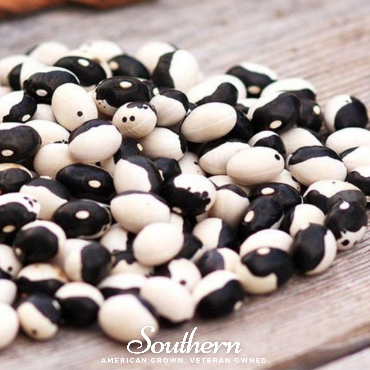 Calypso Orca Bean (Bush) – 25 Seeds