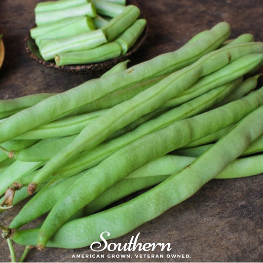 Kentucky Wonder Bean (Pole) – 50 Seeds
