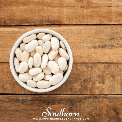 Henderson Lima Bean (Pole) – 15 Seeds