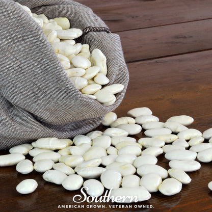 White Dixie Butterpeas Lima Bean (Bush) – 15 Seeds