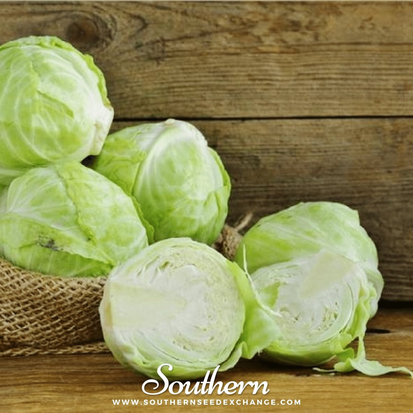 Copenhagen Market Cabbage – 100 Seeds