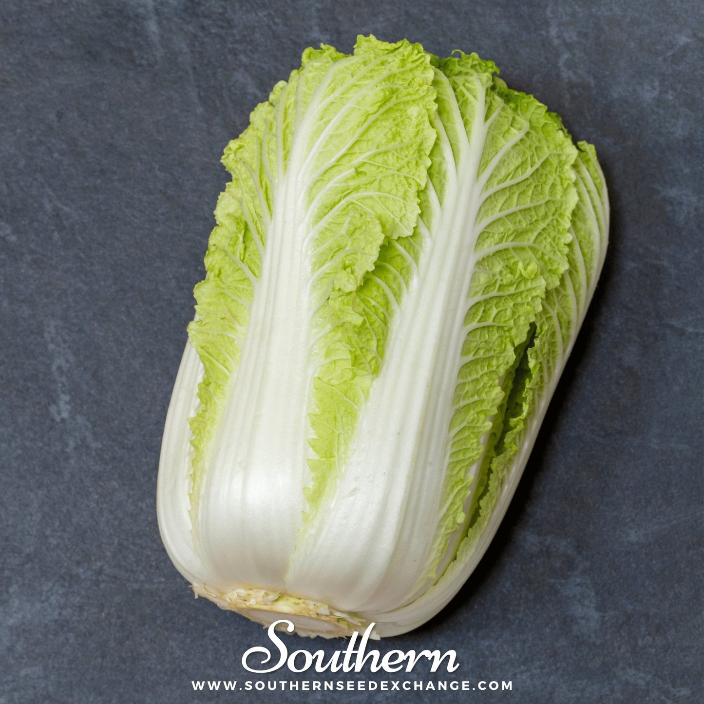 Napa Michihili Heading Cabbage – 100 Seeds