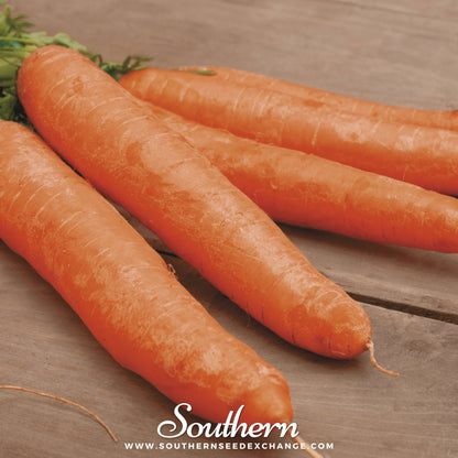 Little Finger Carrot – 250 Seeds