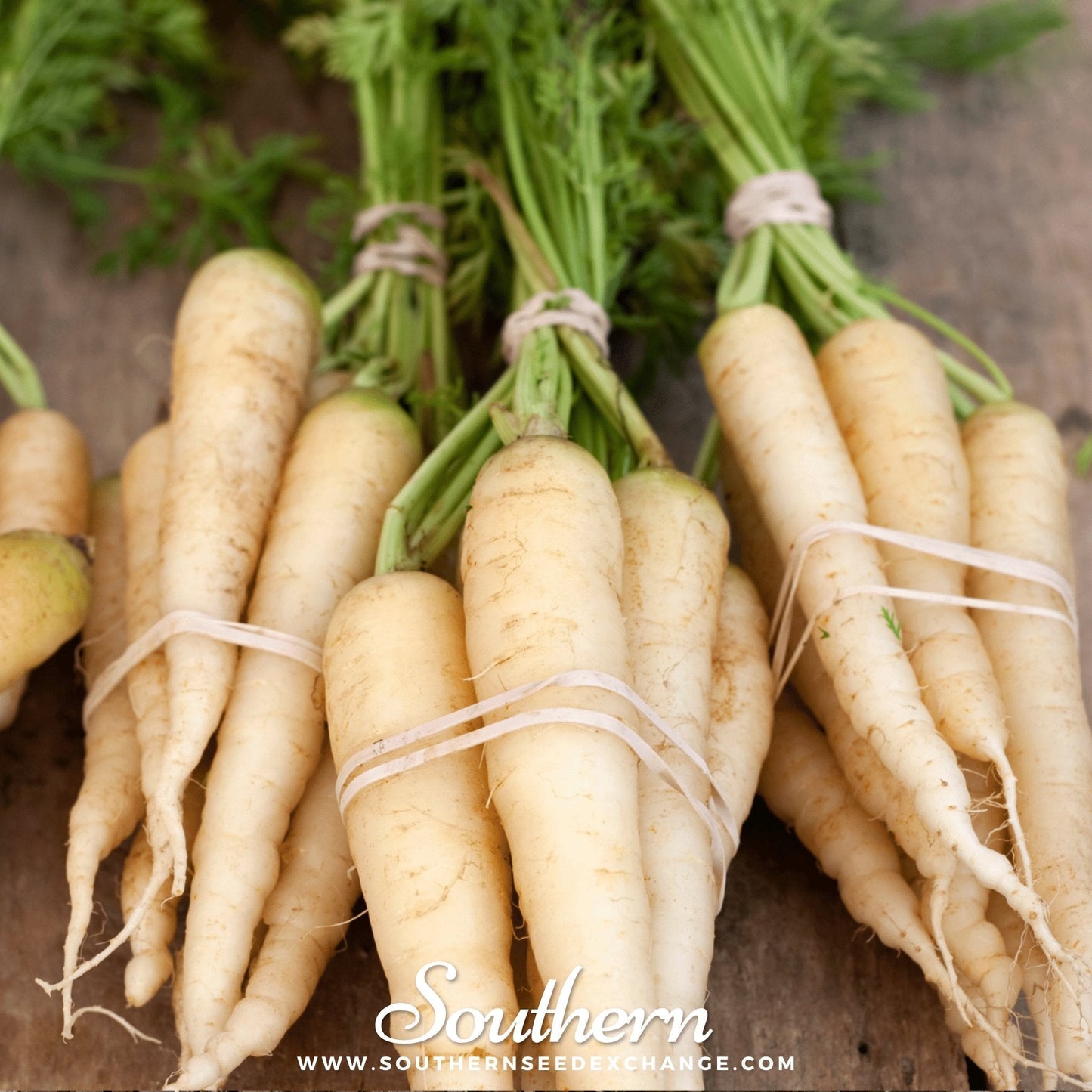 Lunar White Carrot – 250 Seeds