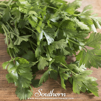 Cutting Celery – 200 Seeds