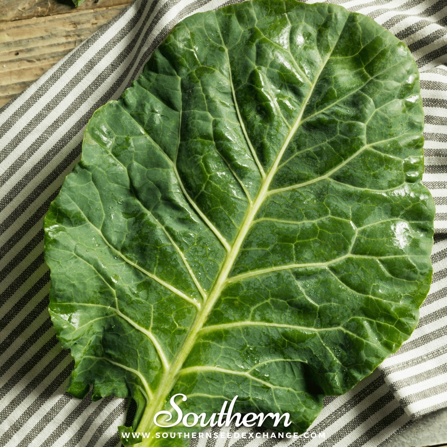 Vates Collard – 200 Seeds