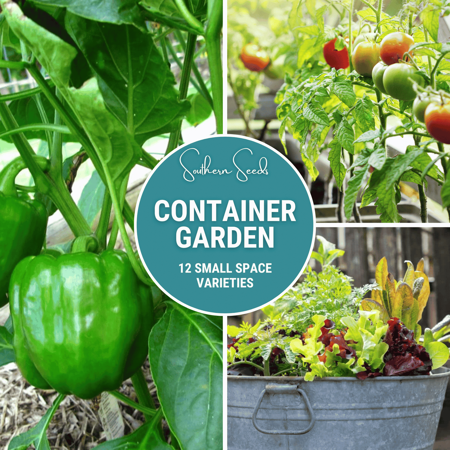 Container Garden Seed Collection – 12 Varieties