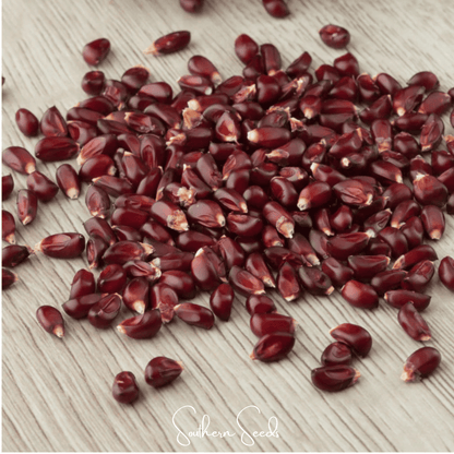 Strawberry Corn – 30 Seeds