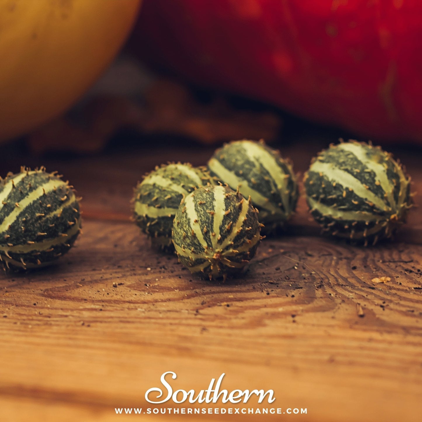 West Indian Gherkin Cucumber – 30 Seeds