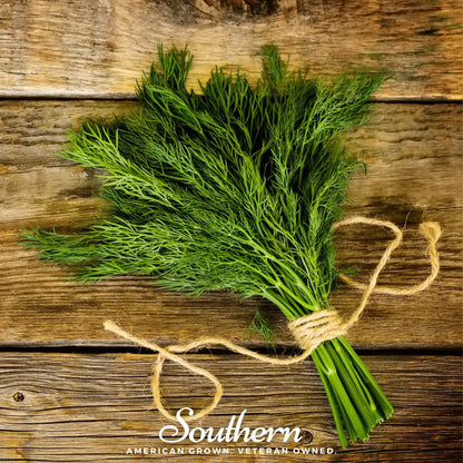 Dukat Dill – 100 Seeds