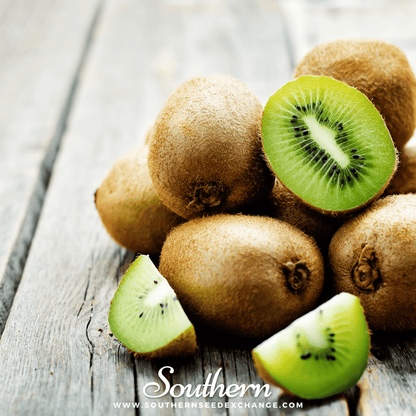 Kiwi Fruit – 100 Seeds