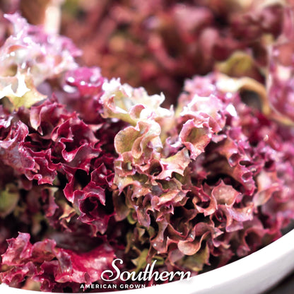Salad Bowl Red Lettuce – 500 Seeds