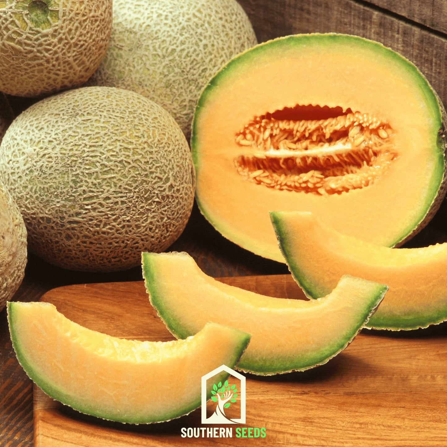 Melon Seed Collection (Watermelon • Cantaloupe • Honeydew)