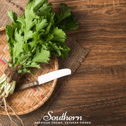 Mizuna Early Mustard – 100 Seeds