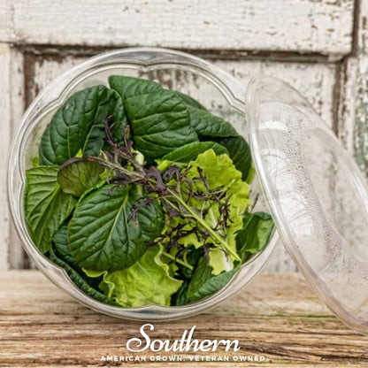 Tatsoi Mustard – 100 Seeds