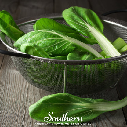 Tatsoi Mustard – 100 Seeds