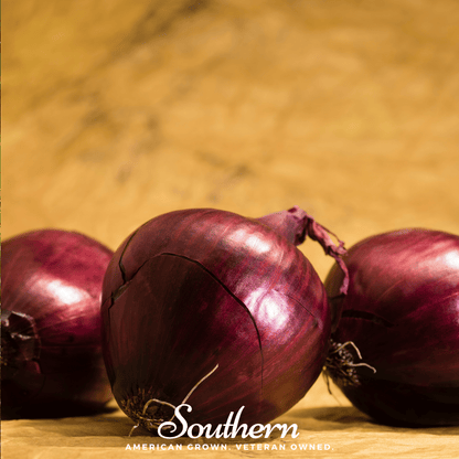 Red Burgundy Onion – 200 Seeds