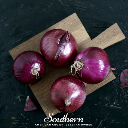 Red Burgundy Onion – 200 Seeds