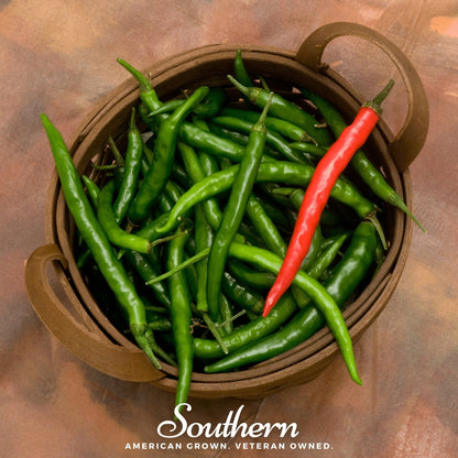 Cayenne Long Slim Pepper – 30 Seeds