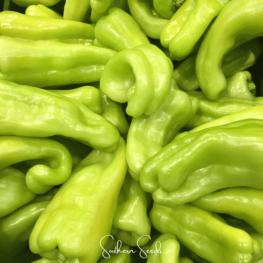 Cubanelle Sweet Pepper – 25 Seeds