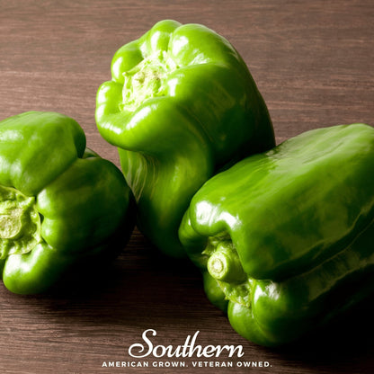 Emerald Giant Sweet Bell Pepper – 30 Seeds