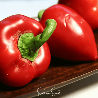 Pimento Sweet Pepper – 25 Seeds