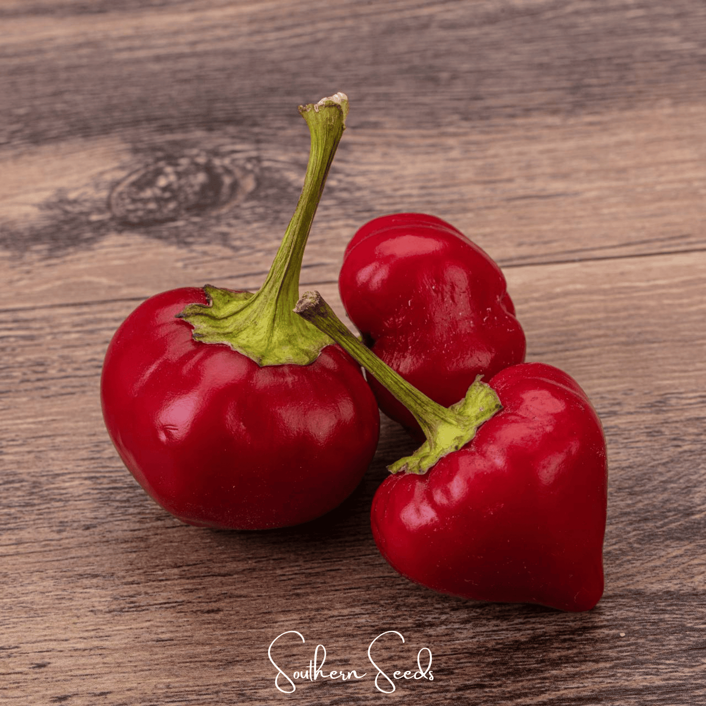 Pimento Sweet Pepper – 25 Seeds