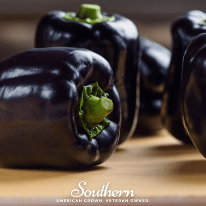 Purple Beauty Sweet Pepper – 30 Seeds