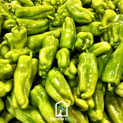 Pepper Seed Collection – 6 Essential Heirloom Peppers