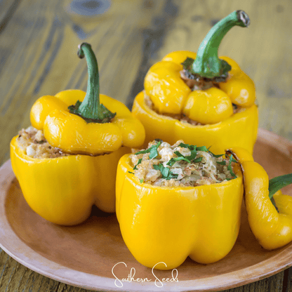 Sunbright Bell Pepper – 30 Seeds