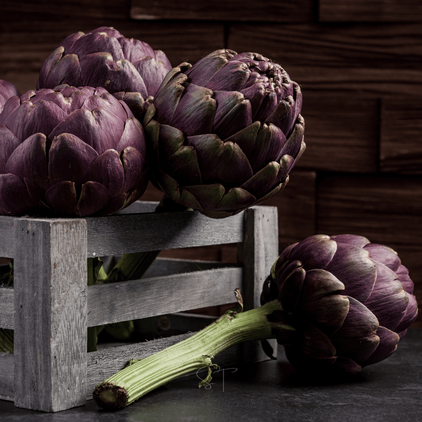 Purple Romagna Artichoke – 25 Seeds
