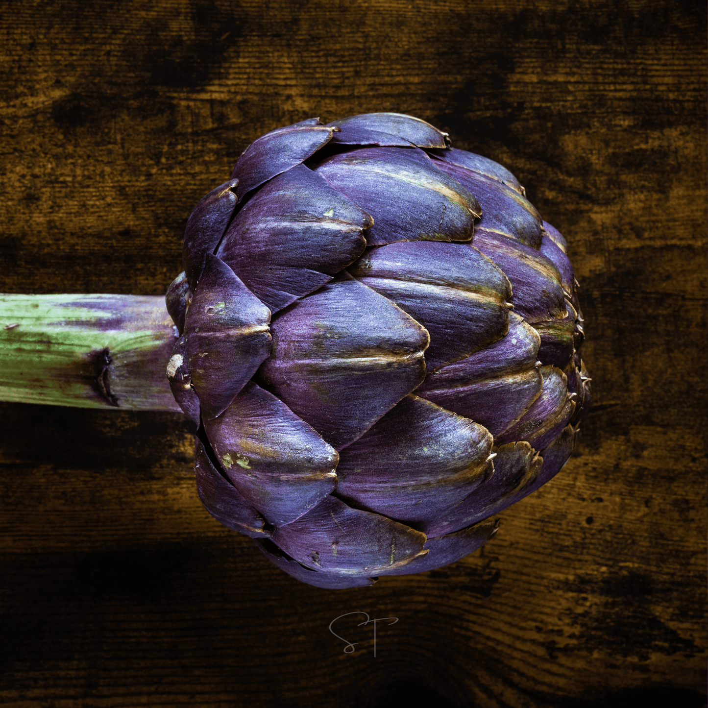 Purple Romagna Artichoke – 25 Seeds