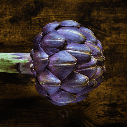 Purple Romagna Artichoke – 25 Seeds