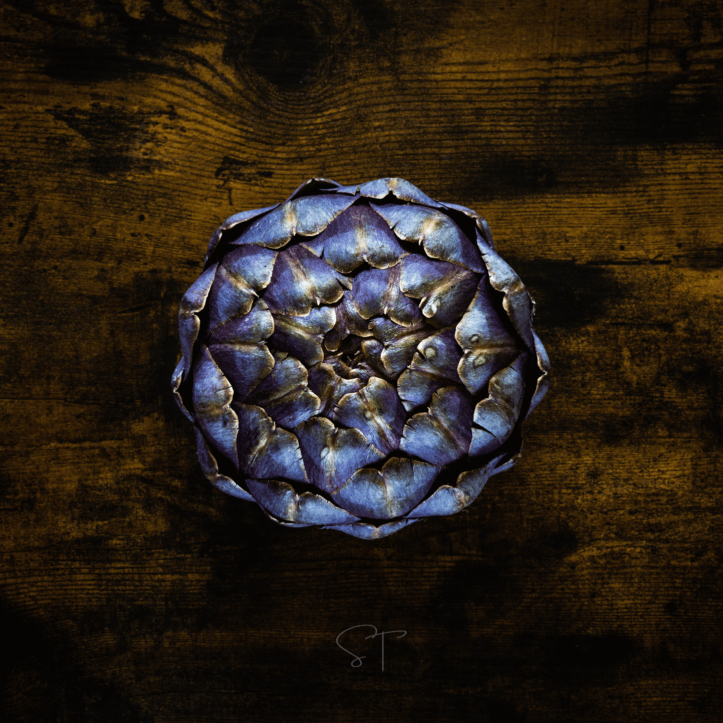 Purple Romagna Artichoke – 25 Seeds