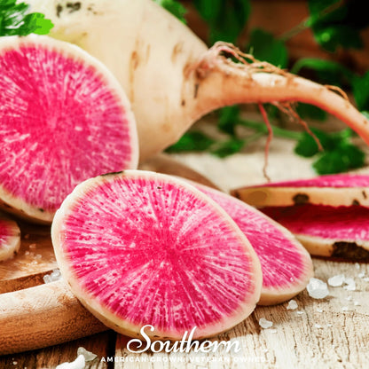 Watermelon Radish – 100 Seeds