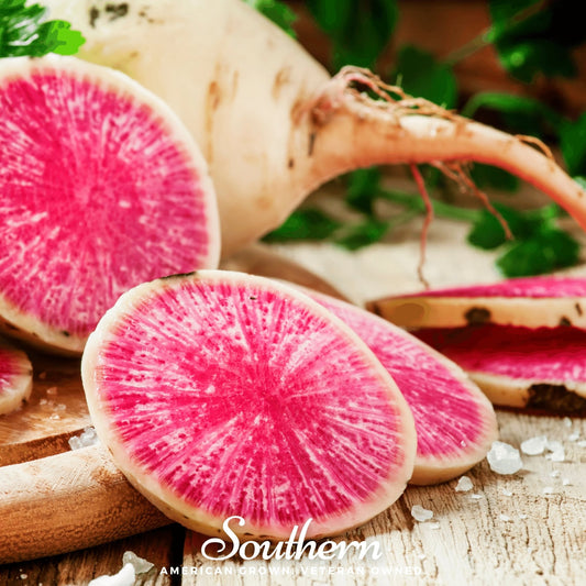 Watermelon Radish – 100 Seeds