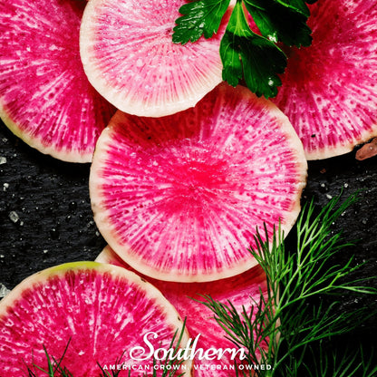 Watermelon Radish – 100 Seeds