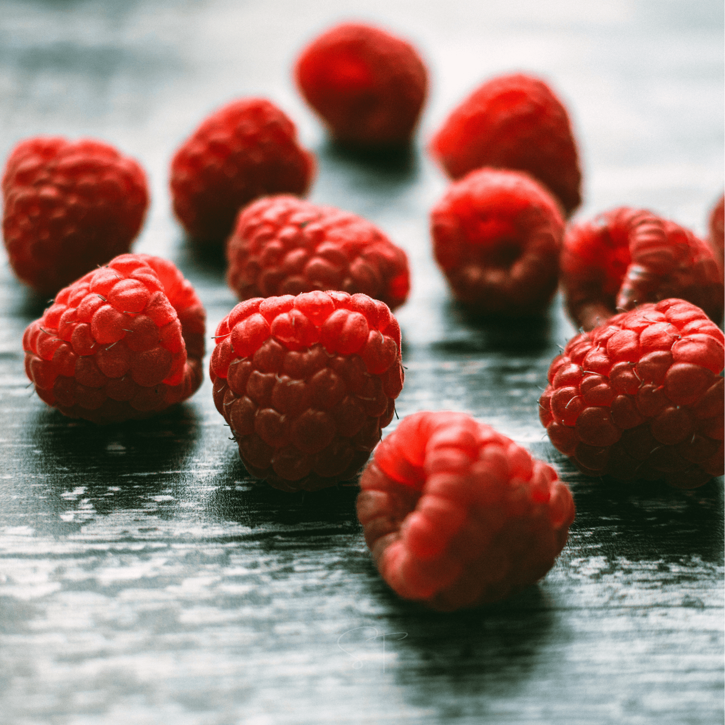 Red European Raspberry – 30 Seeds